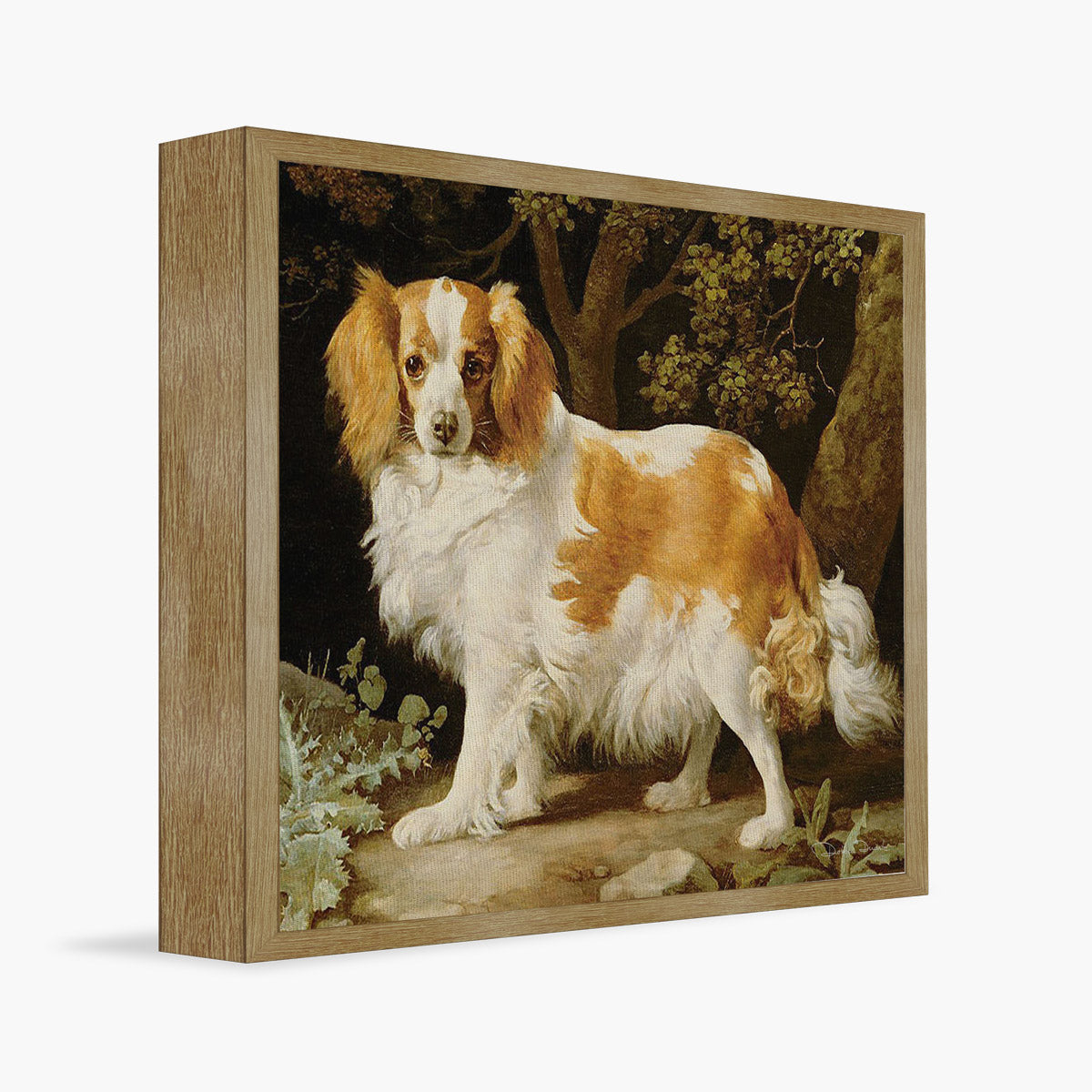 kit Com 6 Quadros Decorativos Dogs 20 x 27 cm