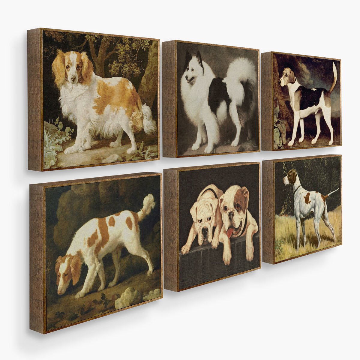 kit 4 Quadros Decorativos Dogs - Rebeca Duarte Home
