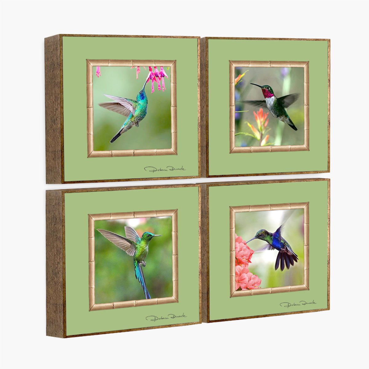 Kit Quadros 20x20cm Pequenos Colibris - Rebeca Duarte Home