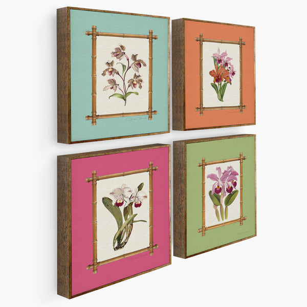 Kit de Quadros Orquídeas Coloridas