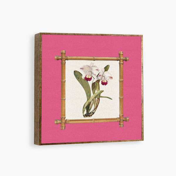 Quadro Decorativo Orquídea com Moldura - Fundo Rosa (20x20) - Rebeca Duarte Home