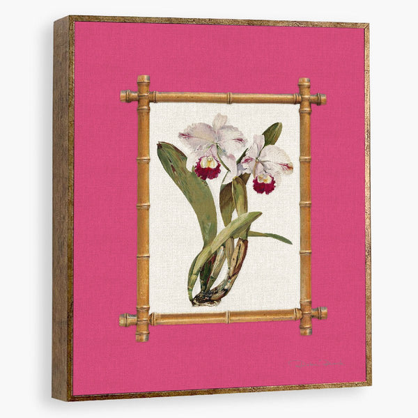 Quadro Decorativo Orquídea com Moldura - Fundo Rosa - Rebeca Duarte Home