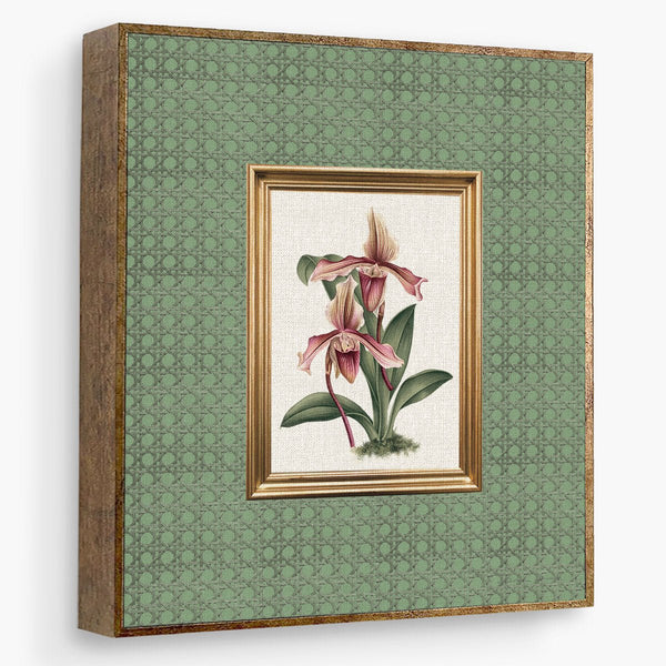 Quadro Decorativo Orquidea Esteira Circulos - Rebeca Duarte Home