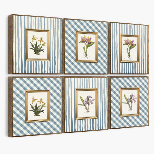 Quadro Kit - Orquídea Azul - Moldura de Madeira - Rebeca Duarte Home